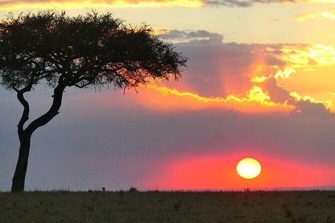 3 Days 2 Nights Safari to Saltlick Lodge from Nairobi - Who is this tour best suited for?
