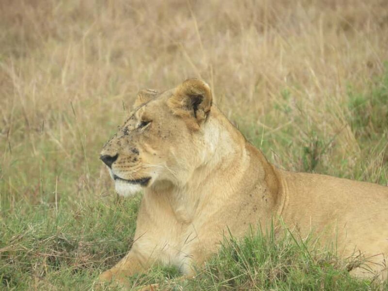 3 days, 2 nights Safari to Tsavo East from Nairobi - The Journey Begins: Nairobi to Tsavo East