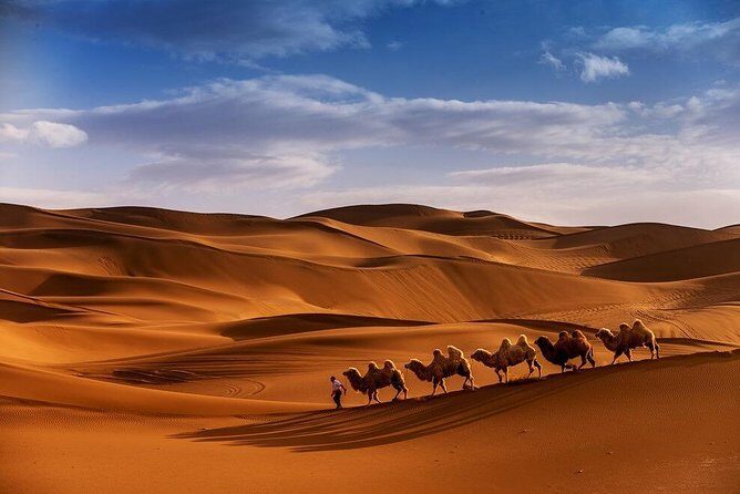 3 Days 2 nights trip starting from Fez ending in Fez via Sahara Desert Merzouga - The Experience Through Others’ Eyes