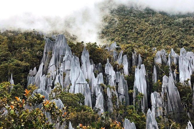 3 Days 2 Nights Unesco World Heritage Mulu 4 Showcaves - Introduction: A Closer Look at the Mulu 4 Showcaves Tour