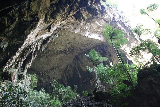 3 Days 2 Nights Unesco World Heritage Mulu 4 Showcaves - Practical Details and Value