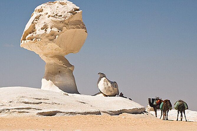 3 Days 2 Nights White Desert and Bahariya Oasis Tour - The Itinerary in Detail