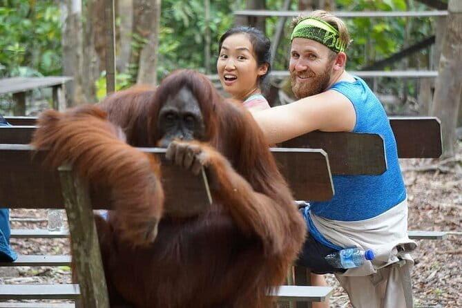 3 Days 2 Nights Wildlife Tanjung Puting - A Detailed Look at the Tanjung Puting Wildlife Tour