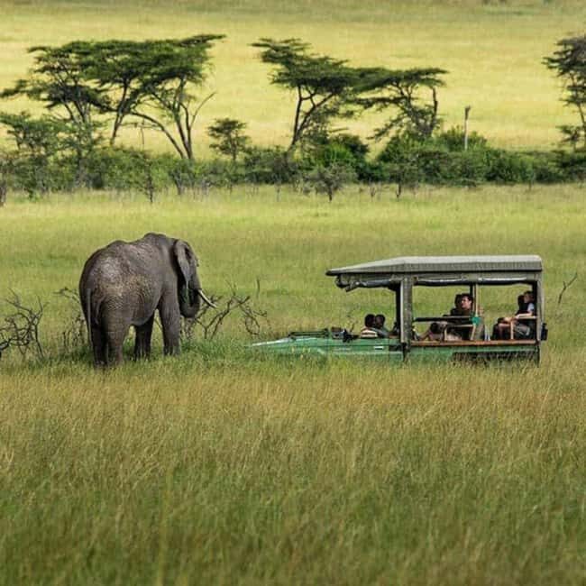3 days 2nights masai mara joining safari Jeep - FAQs