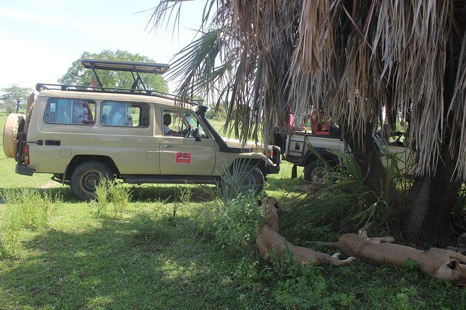 3 Days/2Nights Nyerere National Park Safari - FAQ
