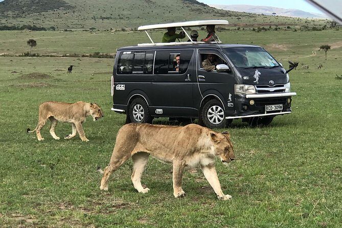 3 Days adventurous Maasai Mara Budget Group Safari - The Itinerary in Detail