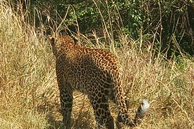 3 Days adventurous Maasai Mara Budget Group Safari - The Sum Up