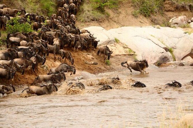 3 Days adventurous Maasai Mara Budget Group Safari - FAQ