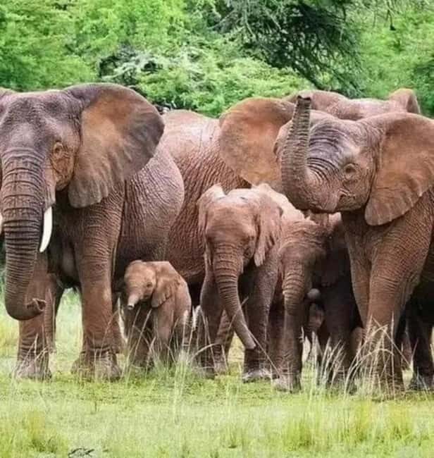 3-Days Akagera Safari, boat cruise and night game drive. - Key Points