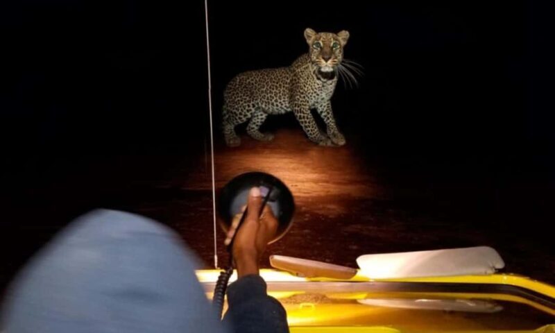 3-Days Akagera Safari, boat cruise and night game drive. - Who Will Love This Tour?