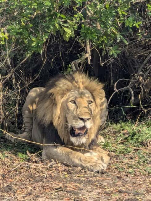3-Days Akagera Safari, boat cruise and night game drive. - FAQ