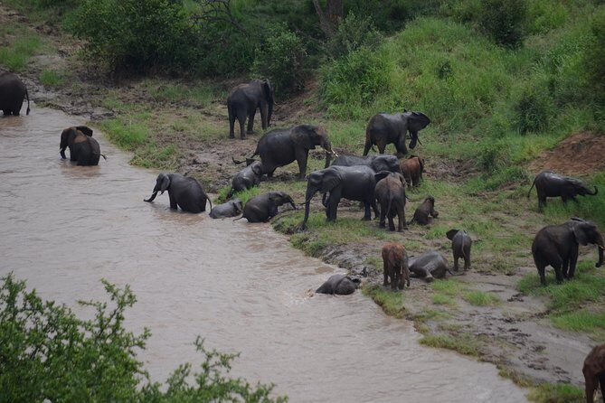 3 Days All Inclusive Zanzibar to Tarangire Ngorongoro - Who This Tour Is Best For