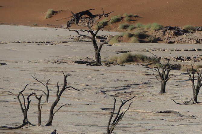 3 Days Amazing Red Dunes of Sossusvlei | Private Guided Tour - What Travelers Love Most