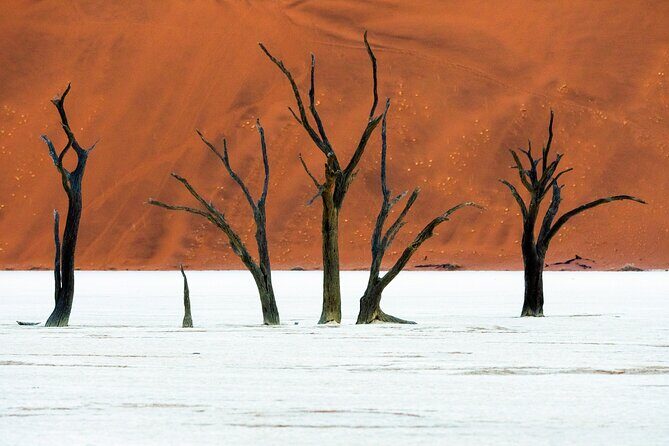 3 Days Amazing Red Dunes of Sossusvlei | Private Guided Tour - Cost and Value