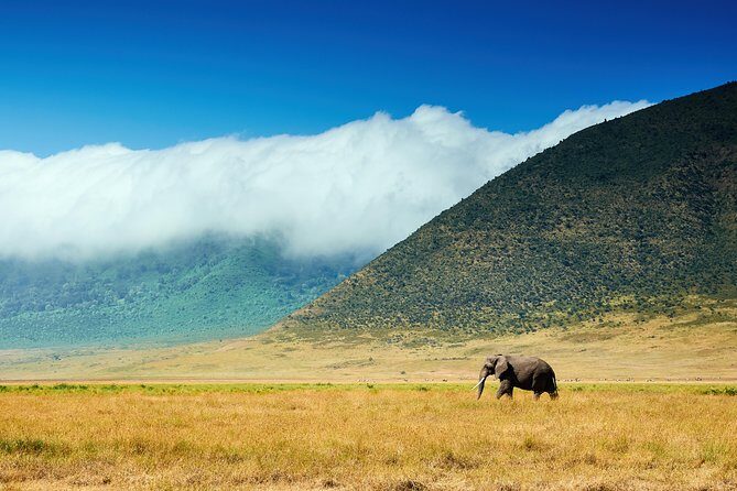 3 Days Amazing Tanzania Safari - Who Is This Safari For?
