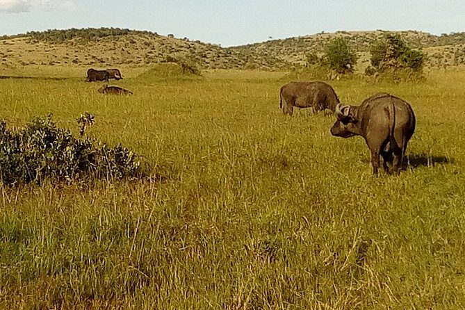 3 Days Amboseli National Park - Practical Tips: Making the Most of Your Trip