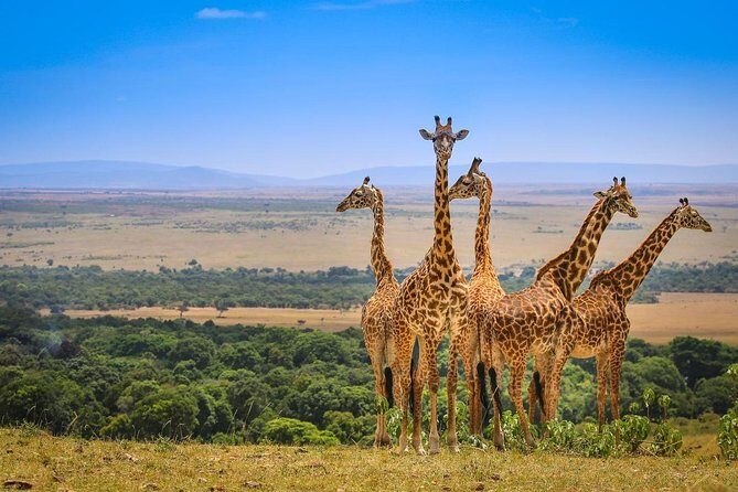 3 Days Amboseli National Park safari - Detailed Breakdown of the 3-Day Itinerary