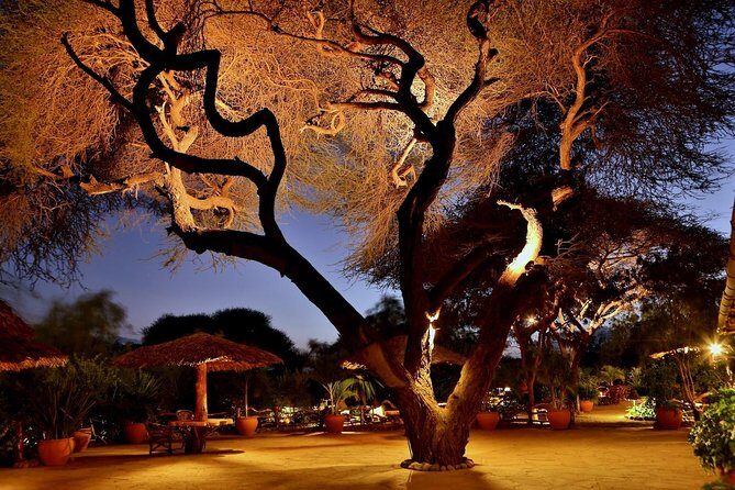 3 Days Amboseli Safari - Exploring the 3 Days Amboseli Safari: A Genuine Kenyan Adventure