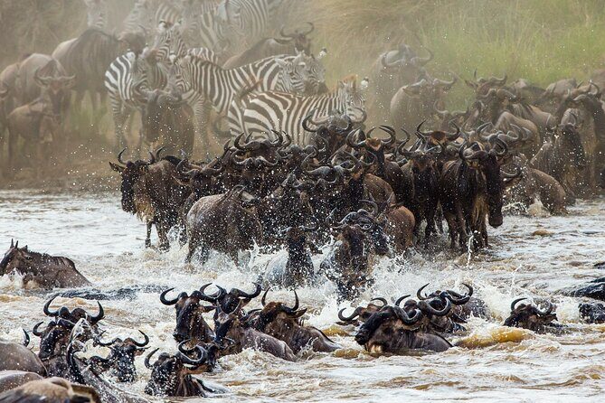 3 Days and 2 Nights Adventure in Masai Mara - Why Choose This Tour?