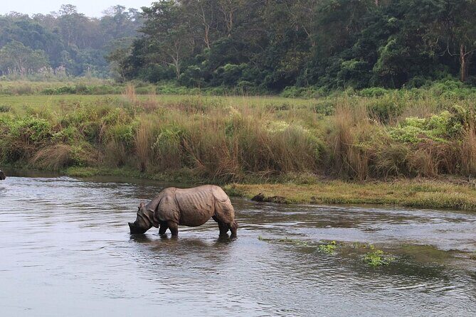 3 Days and 2 Nights Chitwan National Park Safari Tour in Pokhara - An Overview of the Chitwan Safari Tour