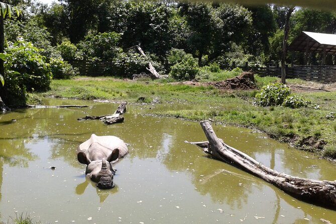 3 Days and 2 Nights Chitwan National Park Safari Tour in Pokhara - Transport and Logistics