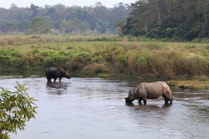 3 Days and 2 Nights Chitwan National Park Safari Tour in Pokhara - Cultural and Wildlife Experiences
