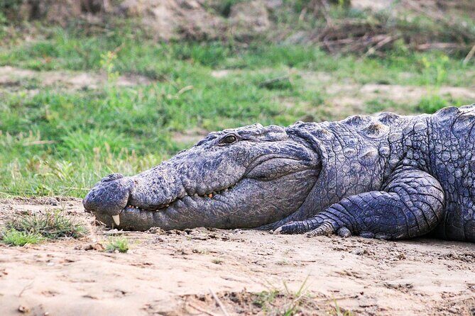 3 Days and 2 Nights Chitwan National Park Safari Tour in Pokhara - Practical Tips for Future Travelers