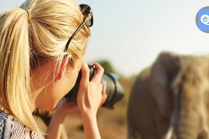 3 Days and 2 Nights Mikumi Private Safari Adventure - Authentic Experiences and Travel Highlights