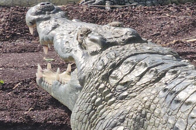 3 days around Arbaminch and Konso Adventure Tours Life Time - Why This Tour Works for You