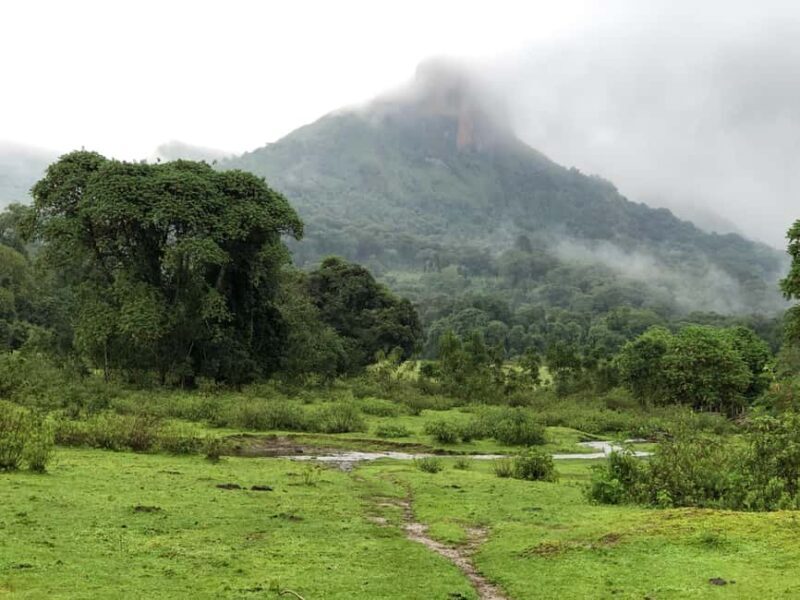 3 Days at Bale Mountains - Starting Point: Goba and Arrival