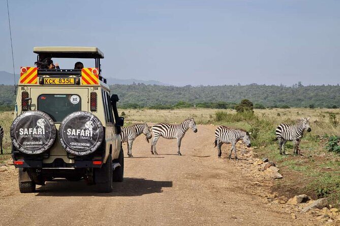 3 Days Best of MasaiMara Wildlife Private Safari, Mid-Range offer - Introducing the 3-Day Masai Mara Safari Experience