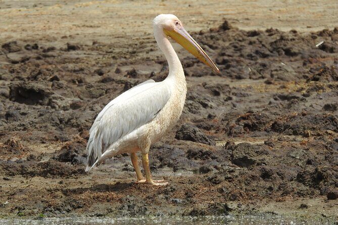 3 Days Budget Camping Safari to Serengeti and Ngorongoro Crater - FAQ
