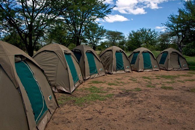 3 Days Budget Camping Safari Tour Tanzania - A Detailed Look at the 3-Day Safari Itinerary