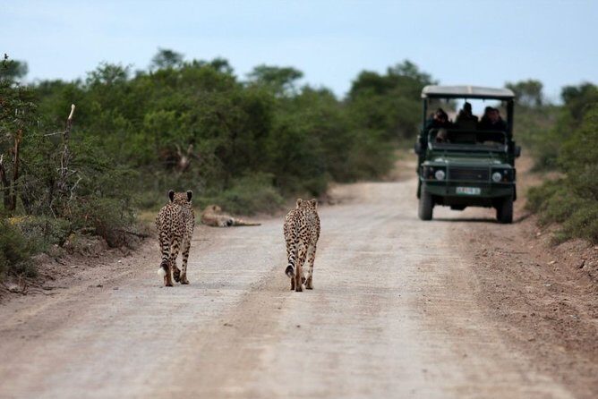 3 Days Budget Masai Mara Safari - FAQ
