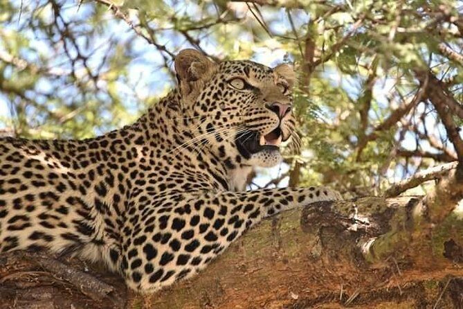 3 Days Budget Mid Range Safari Tour Tanzania - What’s Included and What’s Not