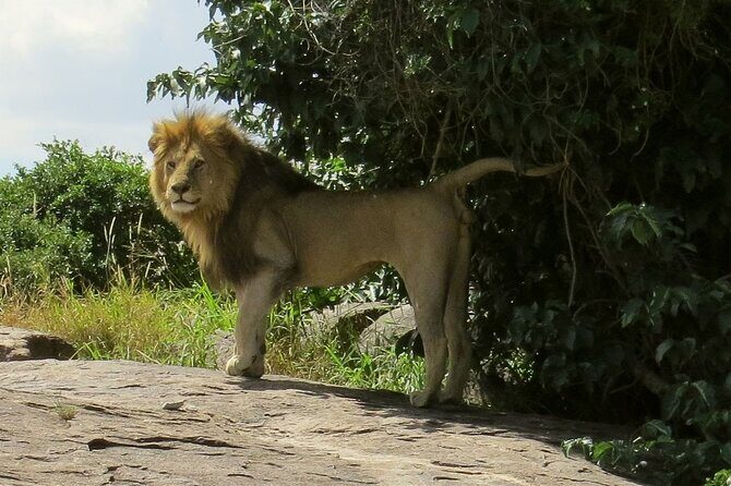 3 Days Budget Mid Range Safari Tour Tanzania - Who Should Consider This Tour?