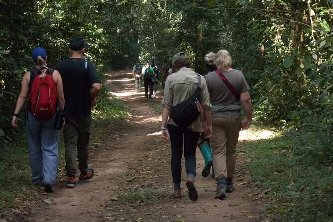 3 Days Bwindi Gorilla Trekking tour - The Itinerary: Breaking Down the Experience