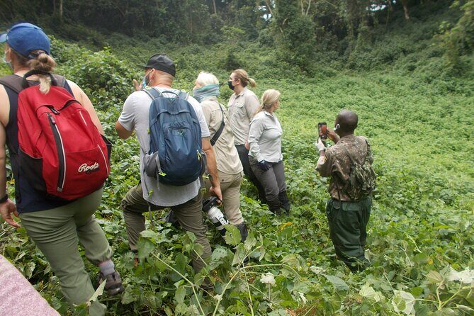 3 Days Bwindi Gorilla Trekking tour - Authenticity and Personal Experiences