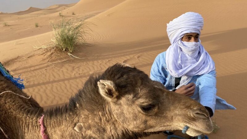 3 days Camel Trekking in Morocco Desert tour - Value and Practical Tips