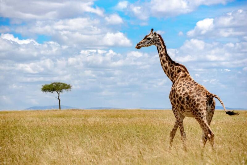 3 Days Camping Safari - Key Points