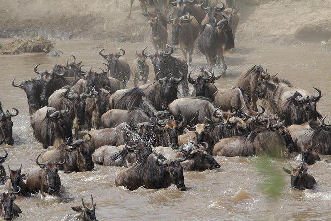 3 Days Camping Safari Tarangire, Lake Manyara and Ngorongoro Crater - FAQ