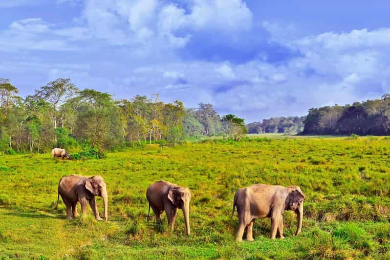 3 Days Chitwan Jungle Tour with Meals - Kathmandu & Pokhara - Practical Tips for Travelers