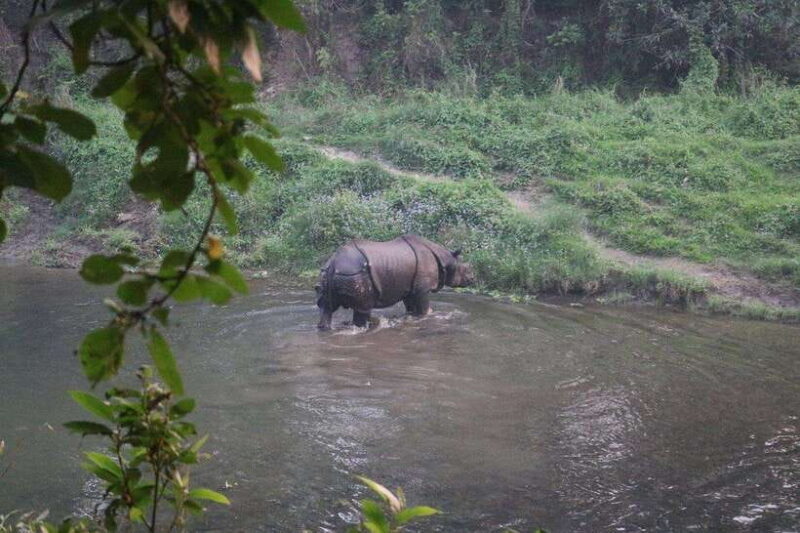 3 Days Chitwan Safari - Introduction: What Makes This Safari Special?