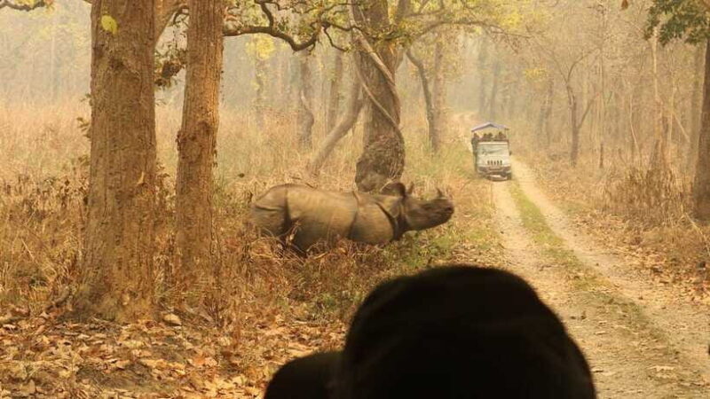 3 Days Chitwan Safari - The Sum Up: Is This Tour Right for You?