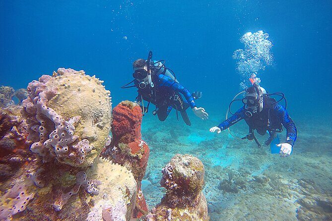 3 Days Class: SDI Open Water Diver Certification in Cancun - An Overview of the 3-Day Itinerary
