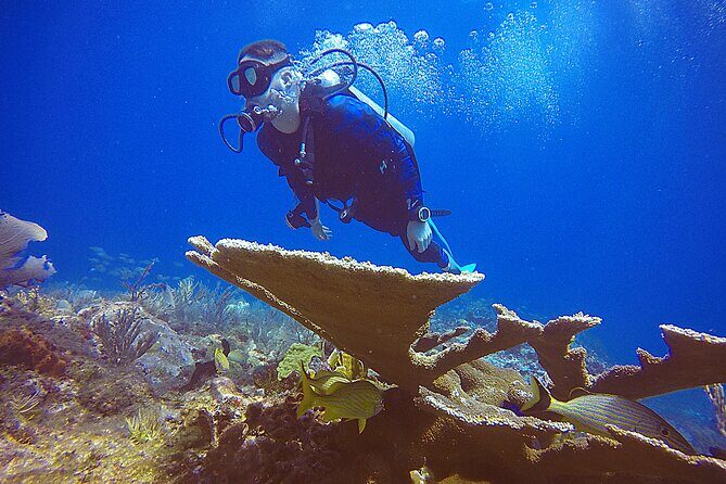 3 Days Class: SDI Open Water Diver Certification in Cancun - Practical Details for Your Planning