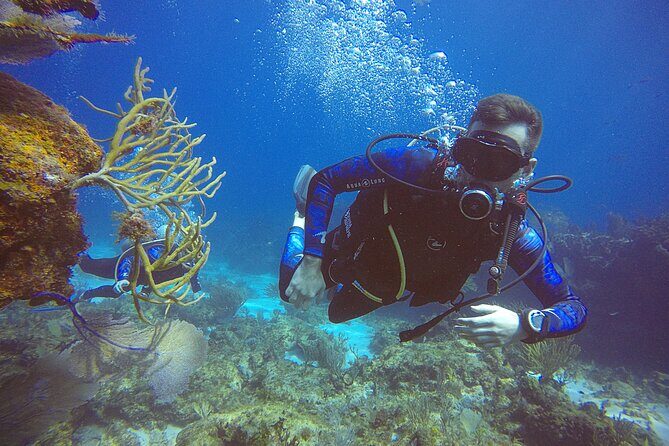 3 Days Class: SDI Open Water Diver Certification in Cancun - Authentic Feedback from Participants
