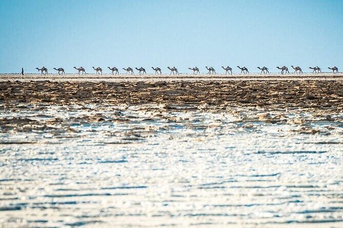 3 Days Danakil Depression Tour - What Travelers Say