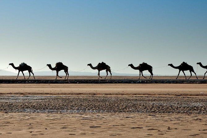 3 Days Danakil Depression Tours Via Semera - Final Thoughts: Is This Tour Right for You?