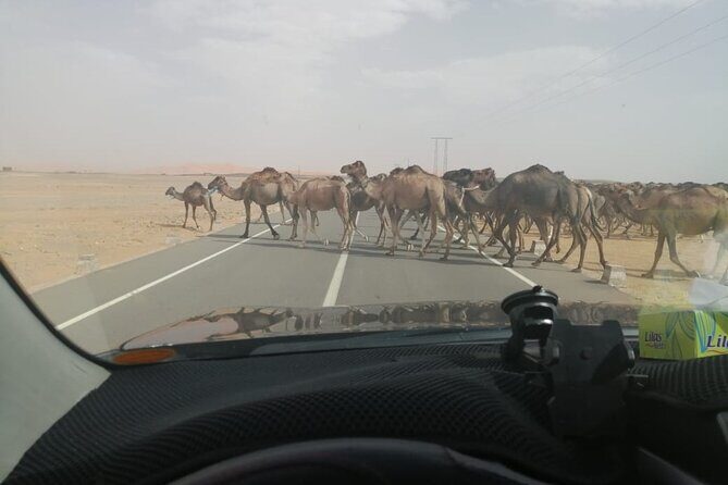 3 Days Desert Tour Fes to Marrakech with 2 Nights in Merzouga - Who Would Enjoy This Tour?